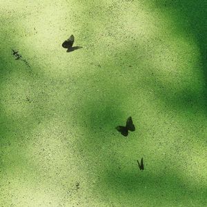 所以看开了也算了