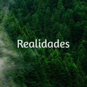 Realidades