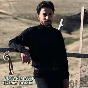 Halay Domki