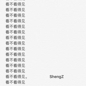 Shiloh Dynasty-看不看得见（ShengZ remix）