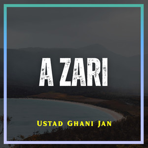 A Zari