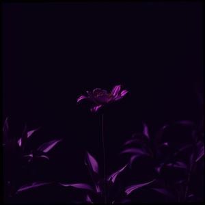 Cruel Love's Farewell