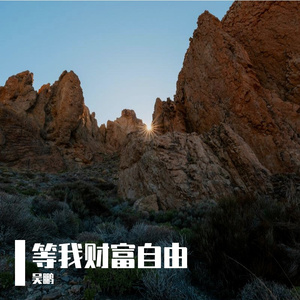 等我财富自由