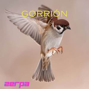 Gorrión