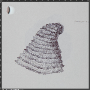 Qué Clase de Vago Soy? (Pensé Que Había Perdido la Canción)