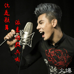 你是猴年派来的救兵吗