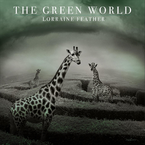 Disappearing Universe