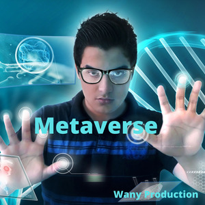 Metaverse