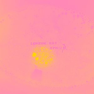 非纯粹掠夺 (Bonus Track)