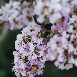 君然-终有一日，我们会相遇。（君然 remix）