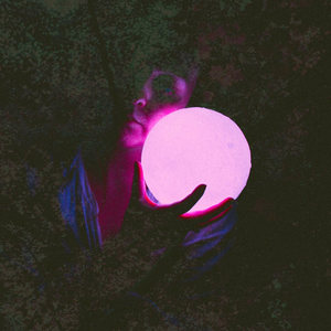 Scintilla