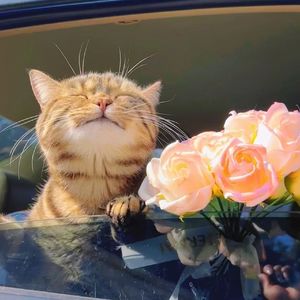 写给温舒雅的专属情歌（prod.by Morrow x IOF）