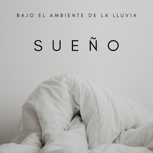 Sonidos Agradables De La Lluvia