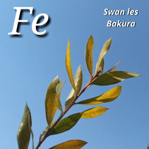 Fe