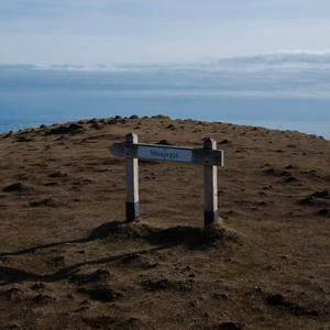 你比冬天先来 又比冬天先走