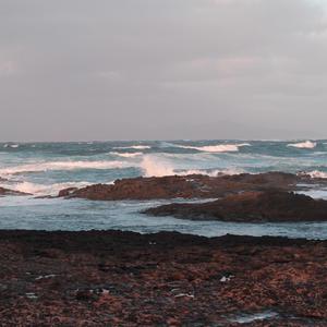 Screaming At The Sea