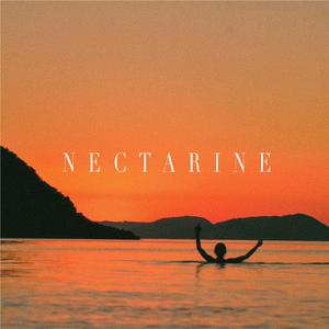 NECTARINE