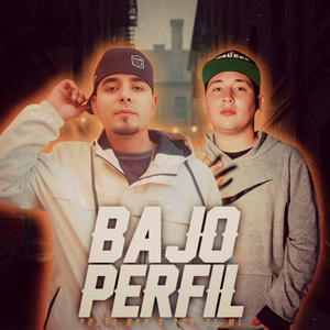 Bajo Perfil