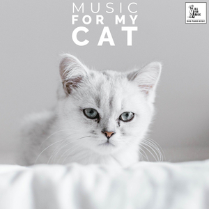 Fisher Price Musical Cat