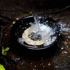 大氿歌(双版齐唱)