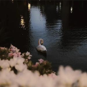 我的回忆不是我的