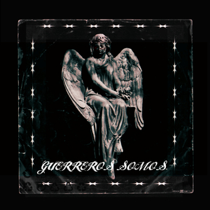 Guerreros Somos