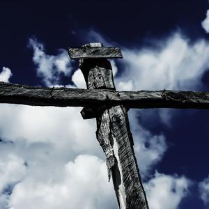 萨顶顶-万物生 （Lexian remix）