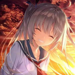 DJ阿域-胜利进行曲（旋律版）（DJ阿域 remix）