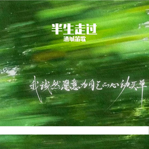 半生走过