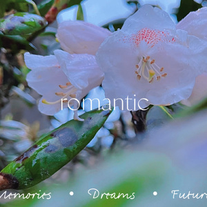 音频提取_153519_t