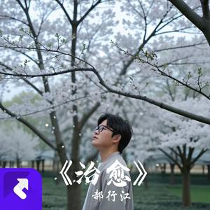 治愈 (现场)
