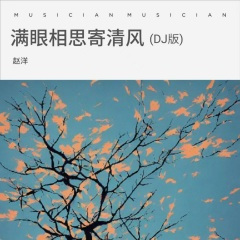 满眼相思寄清风 (水兵舞版)