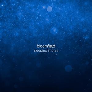 Sleeping Shores (Rain)