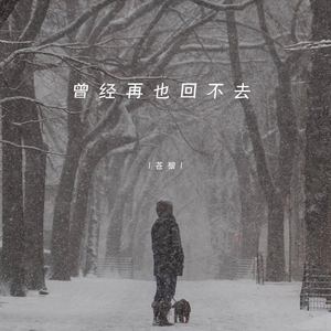 曾经再也回不去