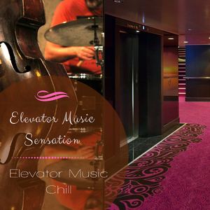 Indefectible Instrumental Music for Eating Your Lunch in Elevators