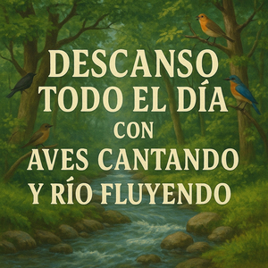Descanso Todo el Día en el Bosque con Sonidos Naturales
