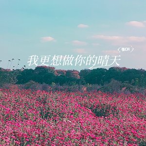 我更想做你的晴天