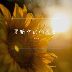 黑暗中的向日葵