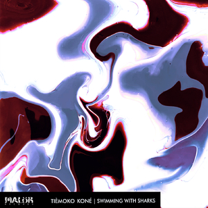 Swimming With Sharks