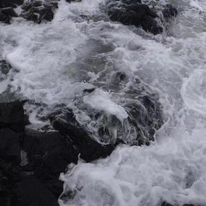 我怕你已走又怕你未至