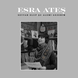 Seyyah Olup Şu Alemi Gezerim