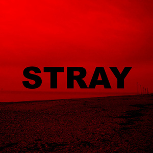 Stray