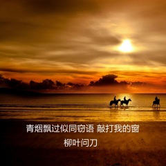 所有的下落不明