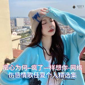 DJ国飞-痴心为何–疯了—样想你-网络伤感情歌任夏个人精选集（DJ国飞 remix）