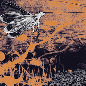 Kaatuvan ihmispyramidin svengi