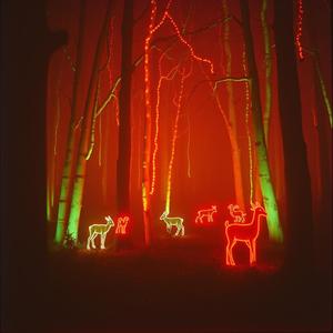 En natt ute 2 (QBY Remix)