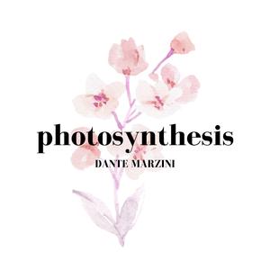 Photosynthesis