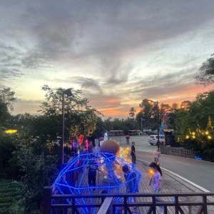 花花公子（cover KnowKnow / 马思唯 ）