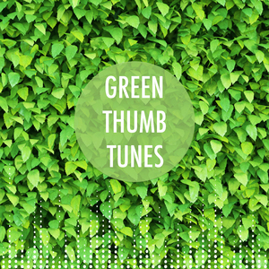 Green Noise Induction (Loopable, No Fade)