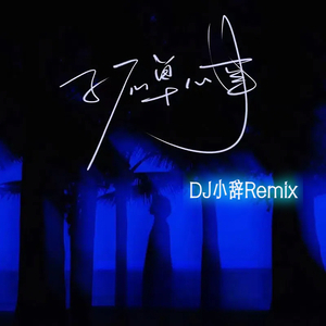 孤单心事（DJ小辞Remix）